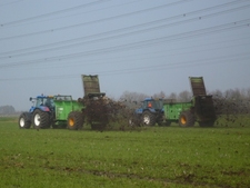 Vast mest strooien Vast mest strooien